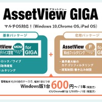 AssetView GIGA