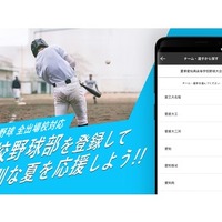 夏の高校野球　全出場校対応