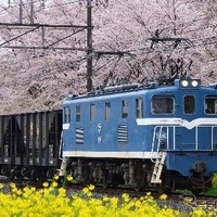 秩父鉄道の電気機関車と石灰石輸送用貨車。