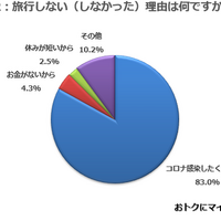 旅行しない（しなかった）理由は何ですか？