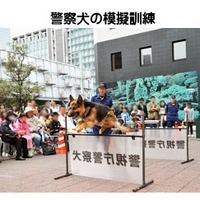 警察犬の模擬訓練（昨年の様子）