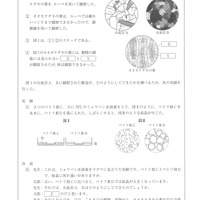 【高校受験2020】岩手県公立高校入試＜理科＞問題・正答