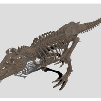 「V×Rダイナソー」よりティラノサウルスの骨格化石デジタルデータ
