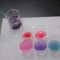 色の変わる水の実験で、地球環境問題を考えよう！