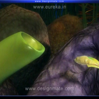 Designmateの3D映像教材、「カエルのライフサイクル」