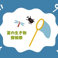 夏の生き物探検隊