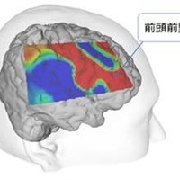 脳活動実験（1）