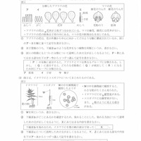 【高校受験2021】秋田県公立高校入試＜理科＞問題・正答