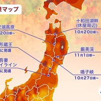 エリア別の紅葉見頃予想