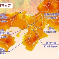 エリア別の紅葉見頃予想