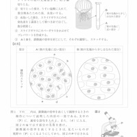 【高校受験2021】福岡県公立高校入試＜理科＞問題・正答