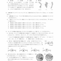 【高校受験2021】徳島県公立高校入試＜理科＞問題・正答