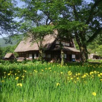 野外博物館 合掌造り民家園