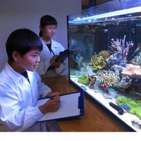 「サンゴ未来研究所」体験の様子（イメージ）