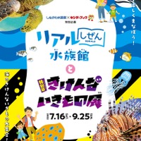 【夏休み2022】しながわ水族館「きけんないきもの展」7/16-9/25