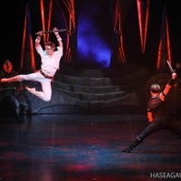 『ドラゴンクエスト』のバレエ公演が10月開催！シリーズ生みの親、堀井雄二氏のトークショウも