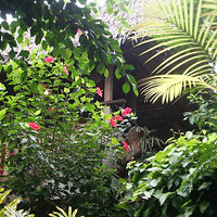 熱帯環境植物館
