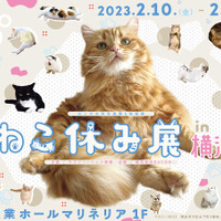 「ねこ休み展 2023 in 横浜」2月10日～11日、開催！可愛さたっぷりの写真展や、本イベントでしか買えないグッズも