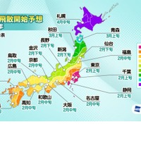スギ花粉、2月上旬に飛散開始…関東や西日本を中心に増加