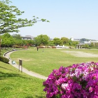 横浜市日野中央公園