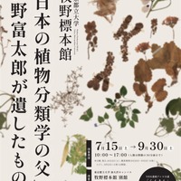 NHK「らんまん」モデル、牧野富太郎の植物標本展示…都立大