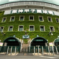 【高校野球2023夏】出場校49代表が決定…大阪は履正社、東東京・共栄学園は初出場