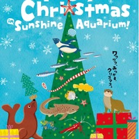 Merry Christmas in Sunshine Aquarium!