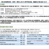 「都立新国際高校（仮称）開校に向けた専門家会議」議論のとりまとめ（概要版）