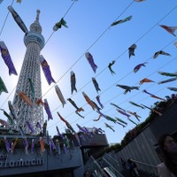 東京スカイツリータウン こいのぼりフェスティバル（過去の様子）（C）TOKYO-SKYTREETOWN