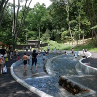 【夏休み2024】国営武蔵丘陵森林公園、水遊び場オープン