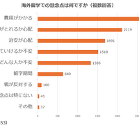 海外留学での懸念点は？（複数回答）