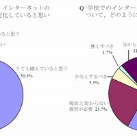 若者にとってのインターネット／インターネット関連教育の必要性