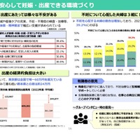 論点2：安心して妊娠・出産できる環境づくり（妊娠・出産）