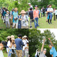 大きさや幅、ギザギザの数、手触り、匂い、美しさなどの葉の違いを発見