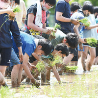 水田学習