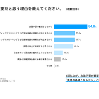 文法学習がどのくらい重要だと思う理由は？