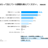 文法の学習にあたって生じている課題は？