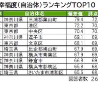 街の幸福度（自治体）ランキングTOP10