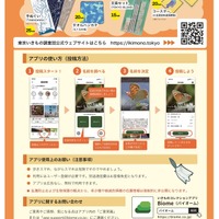 東京いきもの調査団2024秋編