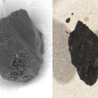 （左）イトカワの粒子、（右）リュウグウの粒子