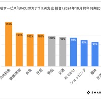 家計管理サービス「B/43」のカテゴリ別支出割合