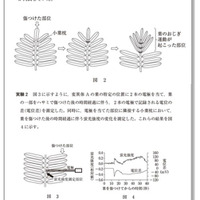 【大学受験2025】東進生のデータから見る、共通テスト本番までの得点の伸ばし方（前編）