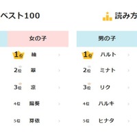 2024年生まれの子供の名前に関する調査結果