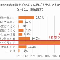 今年の年末年始をどのように過ごす予定か