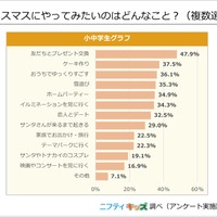 クリスマスにやってみたいのはどんなこと？