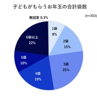 子供がもらうお年玉の合計袋数