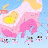 各エリアの桜開花予想・関東甲信