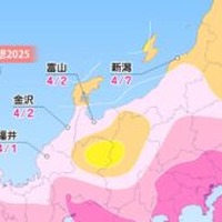 各エリアの桜開花予想・北陸