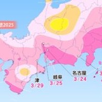 各エリアの桜開花予想・東海