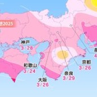 各エリアの桜開花予想・近畿